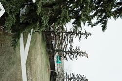 DSCF0011.JPG