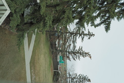 DSCF0012.JPG