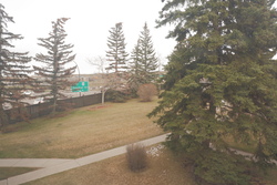 DSCF0015.JPG