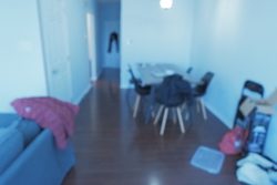 DSCF0020.JPG