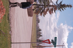 DSCF0033.JPG