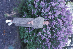 DSCF0214.JPG