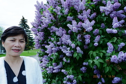 DSCF0231.JPG