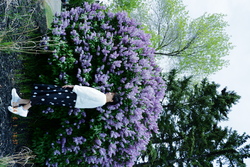 DSCF0240.JPG