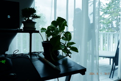 DSCF0245.JPG