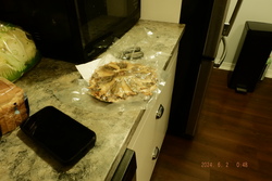 DSCF0256.JPG