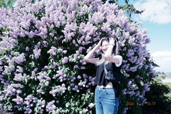 DSCF0334.JPG