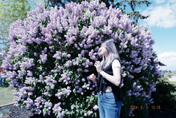 DSCF0337.JPG
