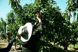 DSCF0603.JPG.JPG
