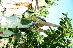 DSCF0605.JPG.JPG