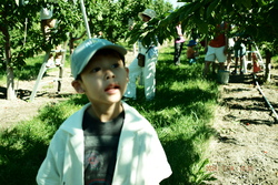 DSCF0606.JPG.JPG