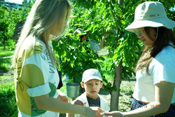 DSCF0614.JPG.JPG