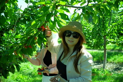 DSCF0617.JPG.JPG