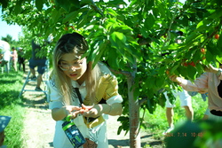 DSCF0620.JPG.JPG