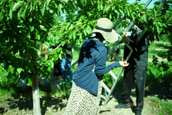 DSCF0621.JPG.JPG