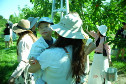 DSCF0622.JPG.JPG