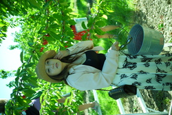 DSCF0628.JPG.JPG