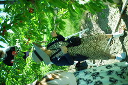 DSCF0629.JPG.JPG