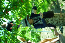DSCF0632.JPG.JPG