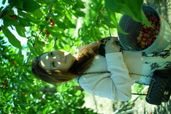 DSCF0638.JPG.JPG