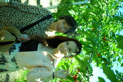 DSCF0642.JPG.JPG