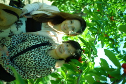 DSCF0643.JPG.JPG