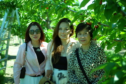 DSCF0645.JPG.JPG
