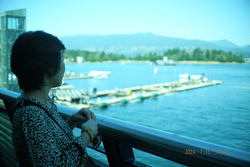 DSCF0767.JPG.JPG