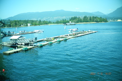 DSCF0768.JPG.JPG