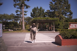 DSCF0809.JPG.JPG