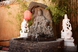 DSCF0823.JPG.JPG