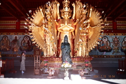 DSCF0824.JPG.JPG