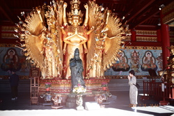 DSCF0826.JPG.JPG