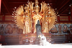 DSCF0828.JPG.JPG