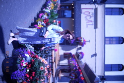 DSCF0868.JPG.JPG