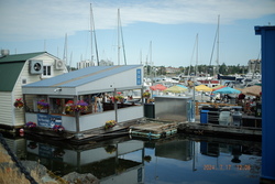 DSCF0960.JPG.JPG