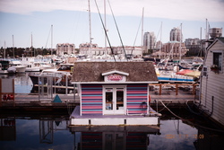 DSCF0962.JPG.JPG