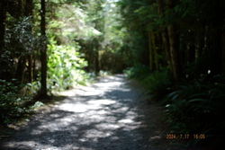 DSCF0963.JPG.JPG
