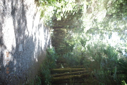 DSCF0964.JPG.JPG