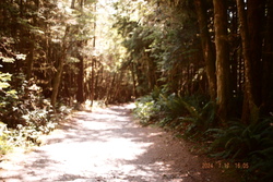 DSCF0965.JPG.JPG
