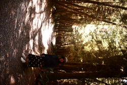 DSCF0966.JPG.JPG