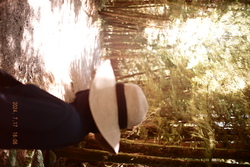 DSCF0967.JPG.JPG