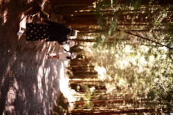 DSCF0974.JPG.JPG