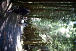 DSCF0975.JPG.JPG