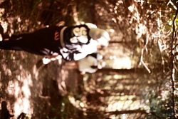 DSCF0980.JPG.JPG