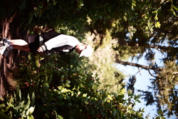 DSCF0995.JPG.JPG