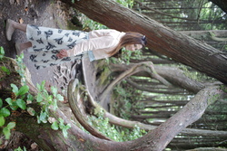 DSCF1017.JPG.JPG