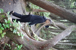 DSCF1018.JPG.JPG