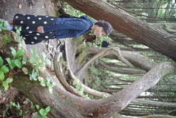 DSCF1019.JPG.JPG