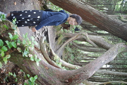 DSCF1020.JPG.JPG
